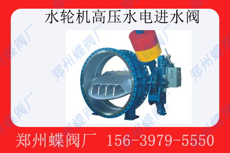 水輪機高壓水電進水閥通常用于什么場景